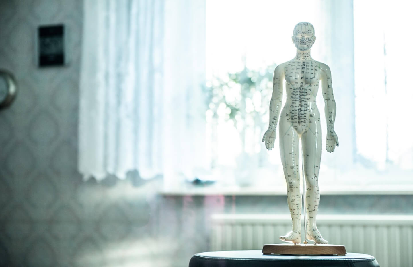 Image: Skąd wywodzi się osteopatia?