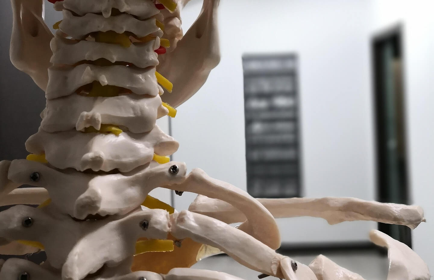 Image: Osteopatia Poznań – skuteczna pomoc dla Twojego zdrowia