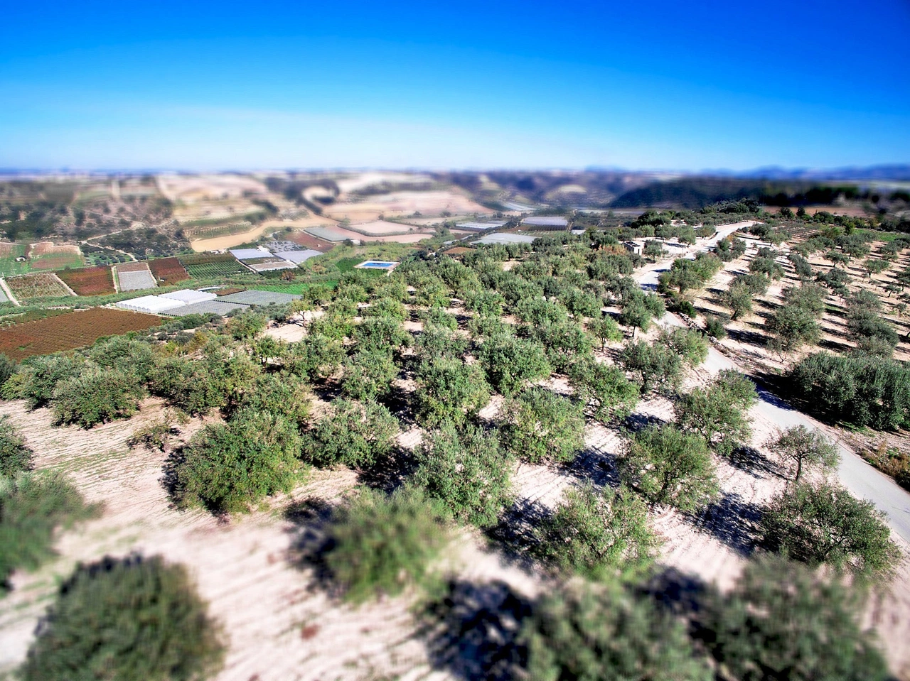 Tenuta Chiaramonte