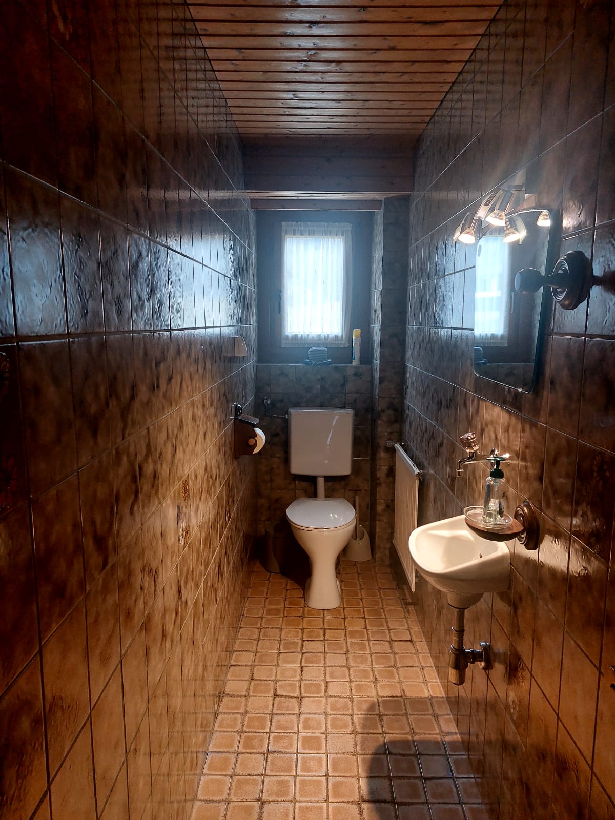 Toilet with small sink