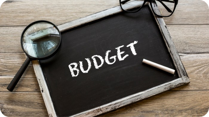 How to create the right budgets for your Performance Max campaigns on Google Ads.jpeg