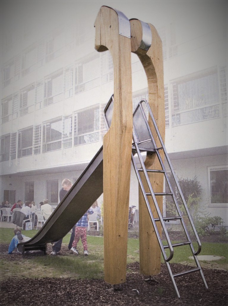 Slide with Ladder