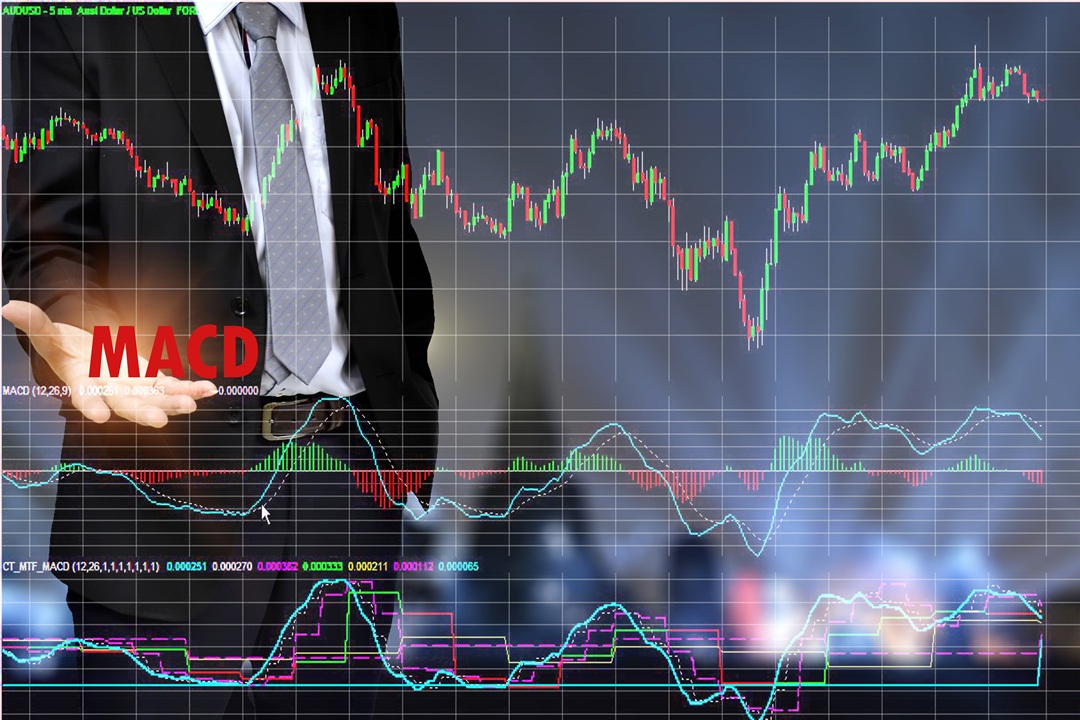 macd in forex trading.jpg