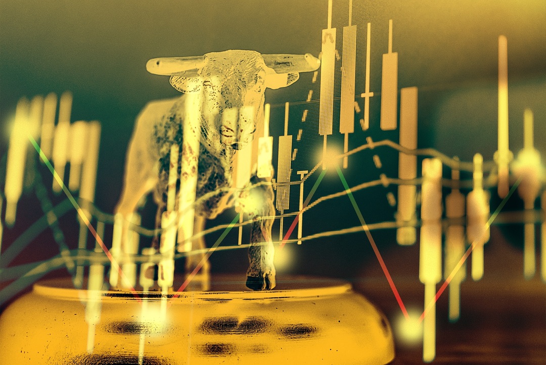 bullish and bearish market.jpg