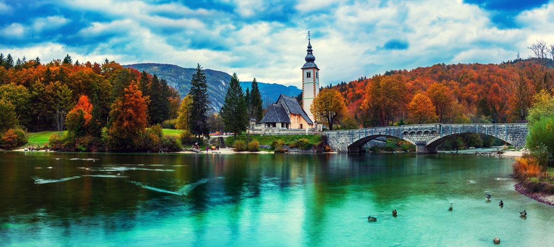 slovenia forex account.jpg