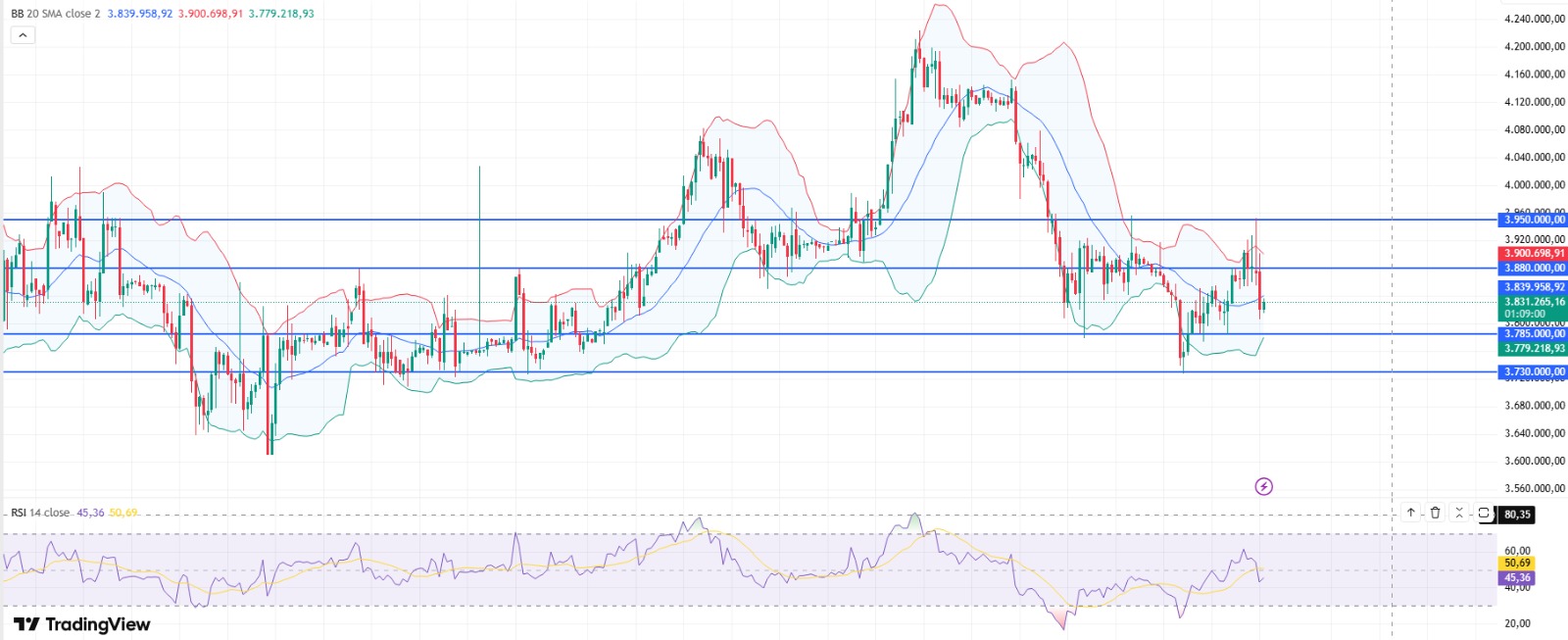 WhatsApp Image 2026-01-29 at 09.51.34.jpeg