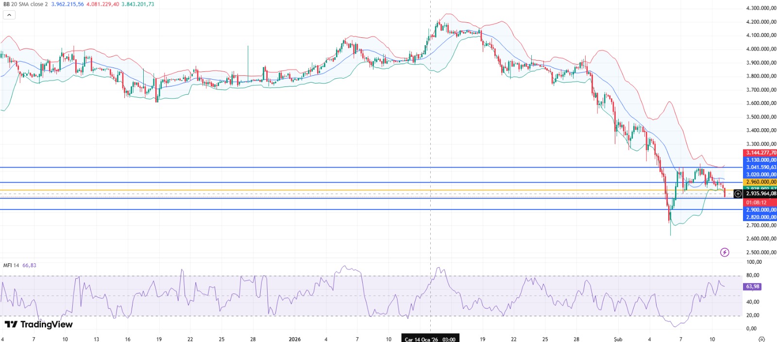 WhatsApp Image 2026-02-11 at 09.52.08.jpeg