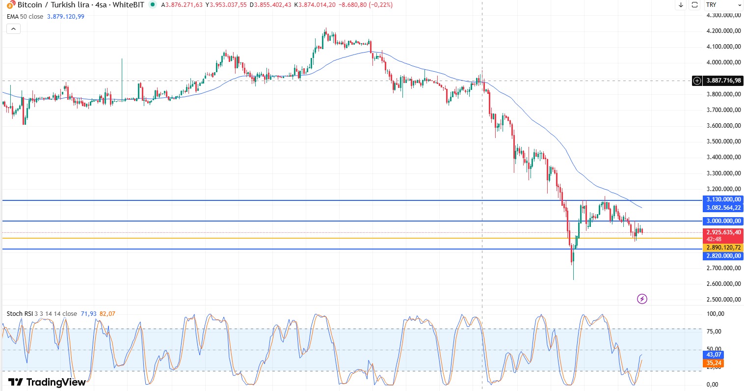 WhatsApp Image 2026-02-12 at 10.17.46.jpeg