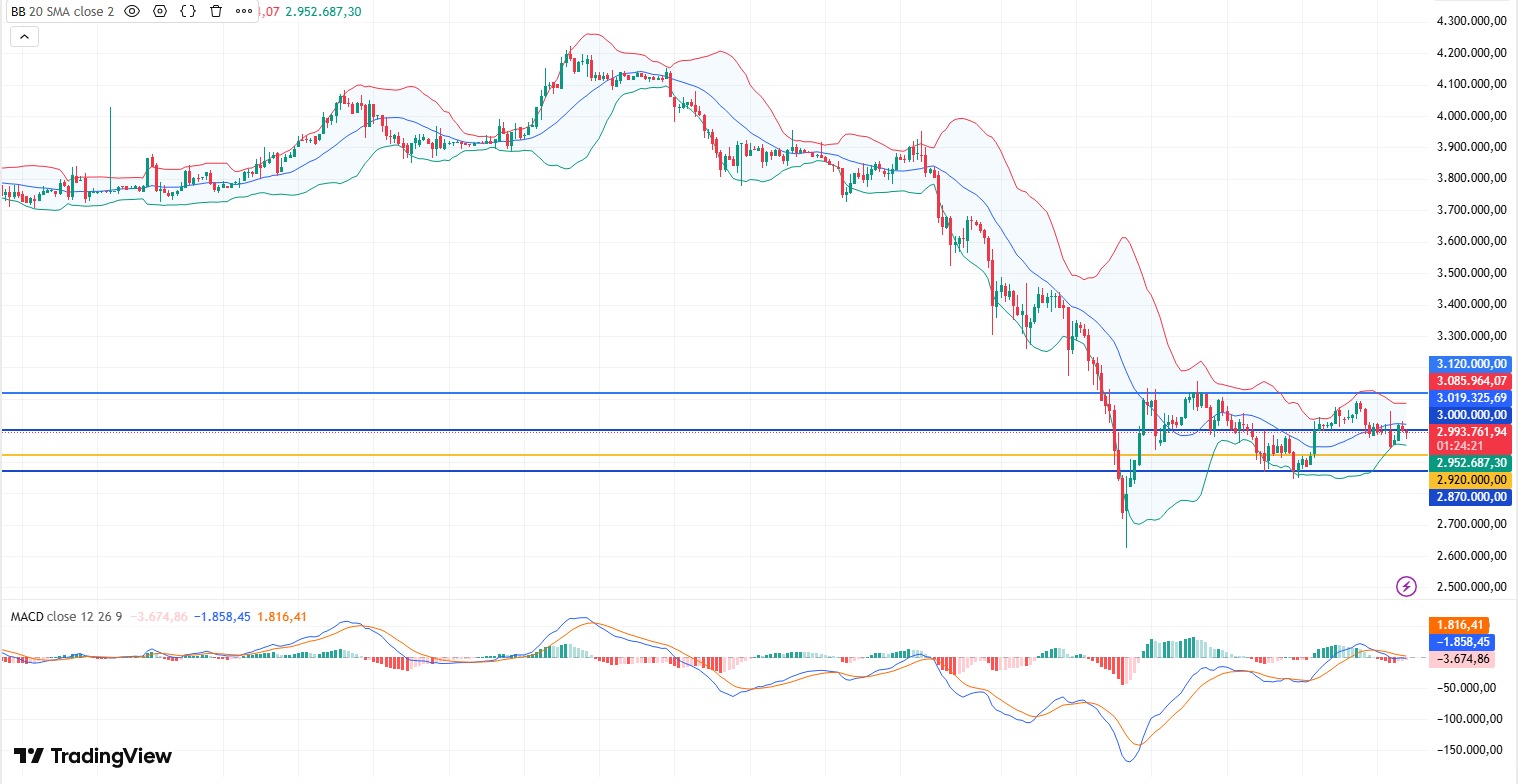 WhatsApp Image 2026-02-17 at 09.35.55.jpeg