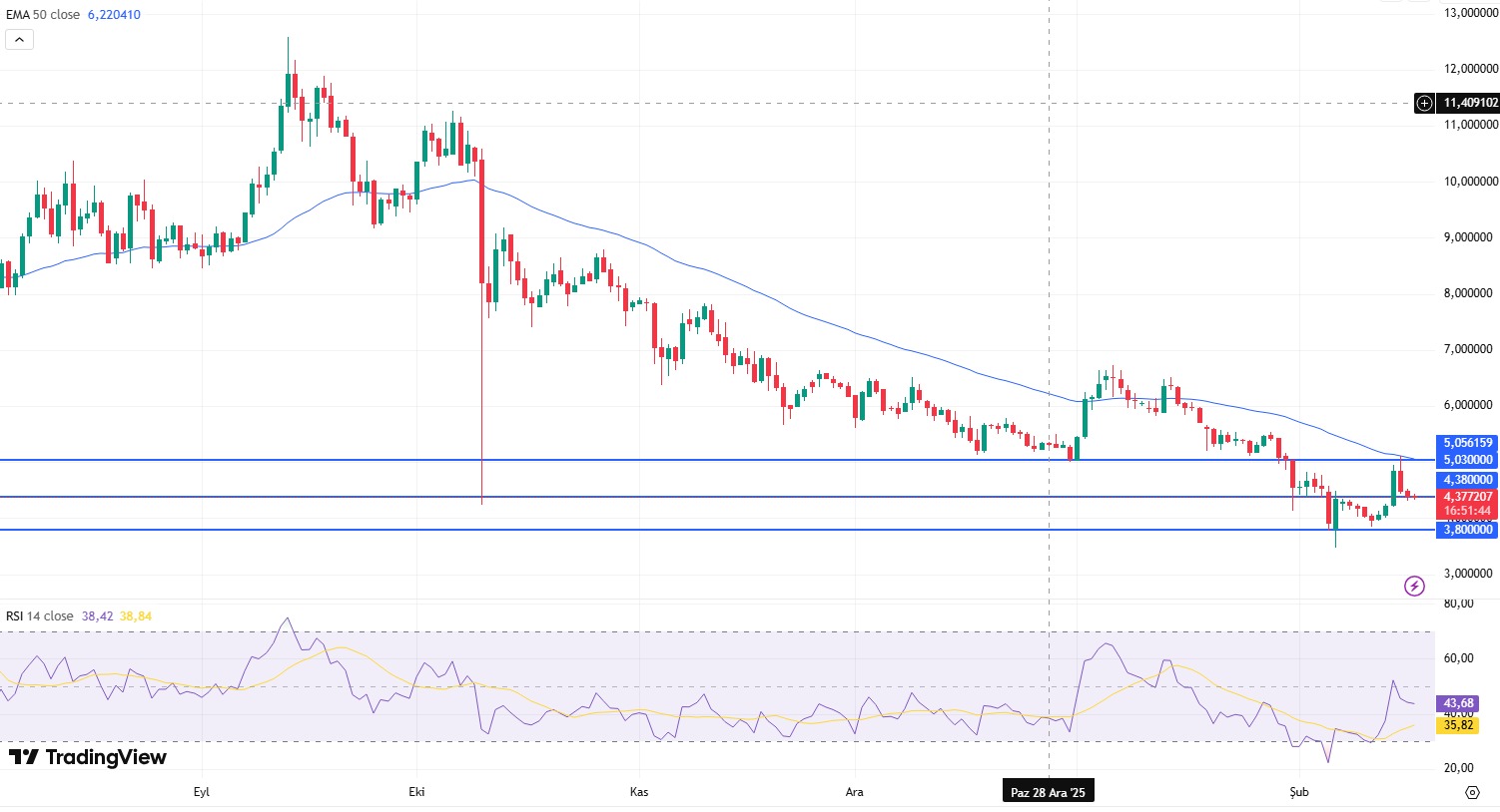 WhatsApp Image 2026-02-17 at 10.08.36.jpeg