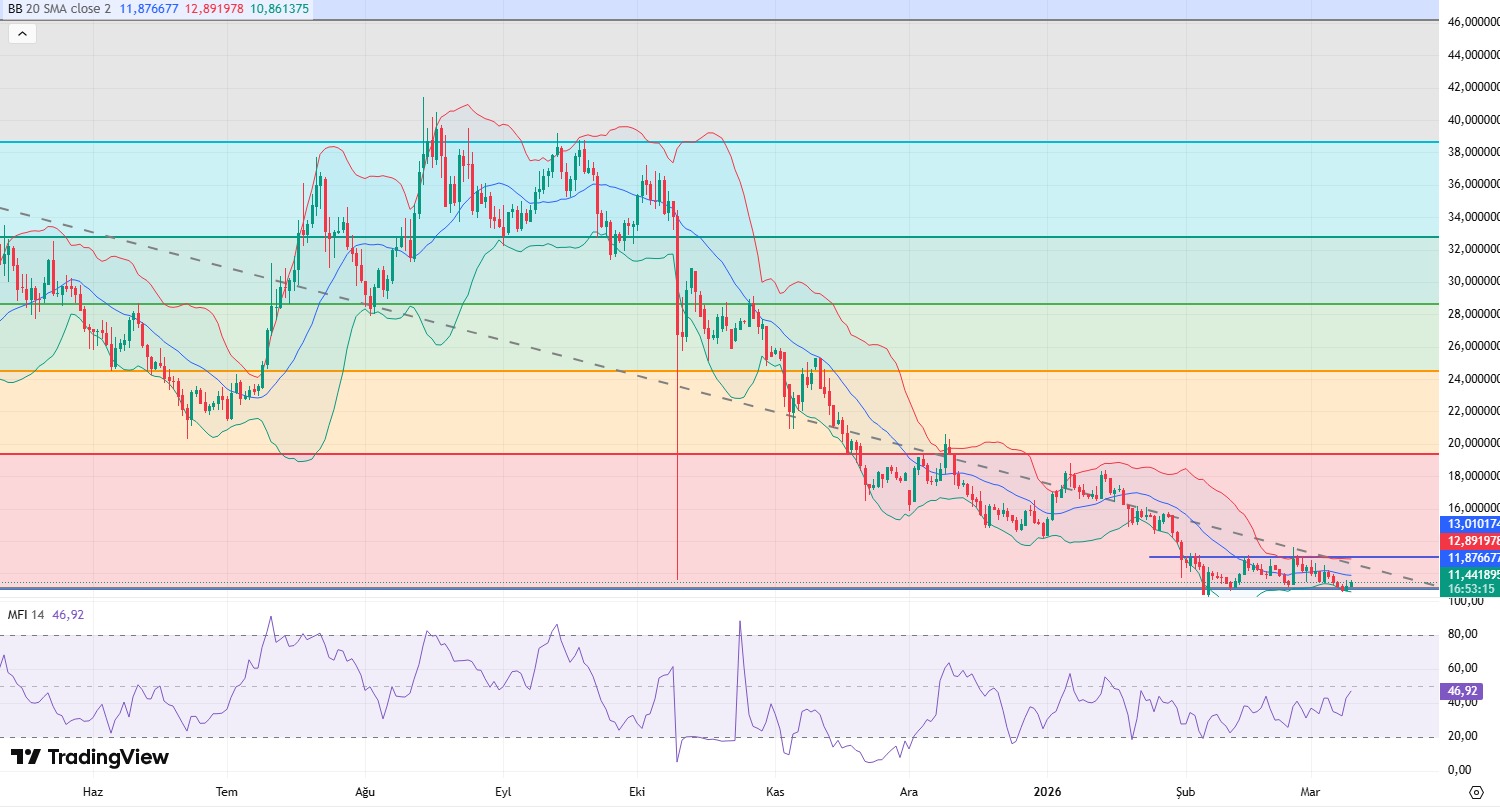 WhatsApp Image 2026-03-10 at 10.07.02.jpeg