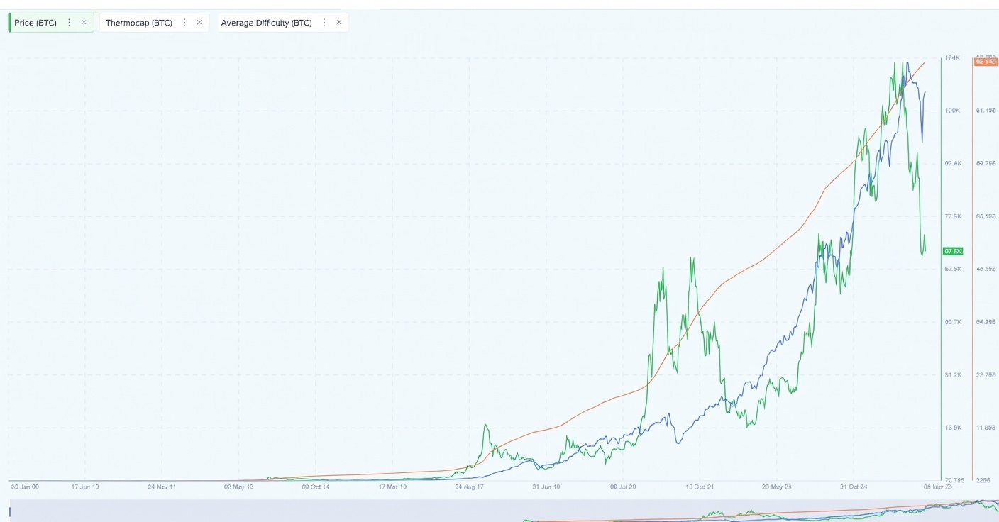 WhatsApp Image 2026-03-11 at 11.28.52.jpeg