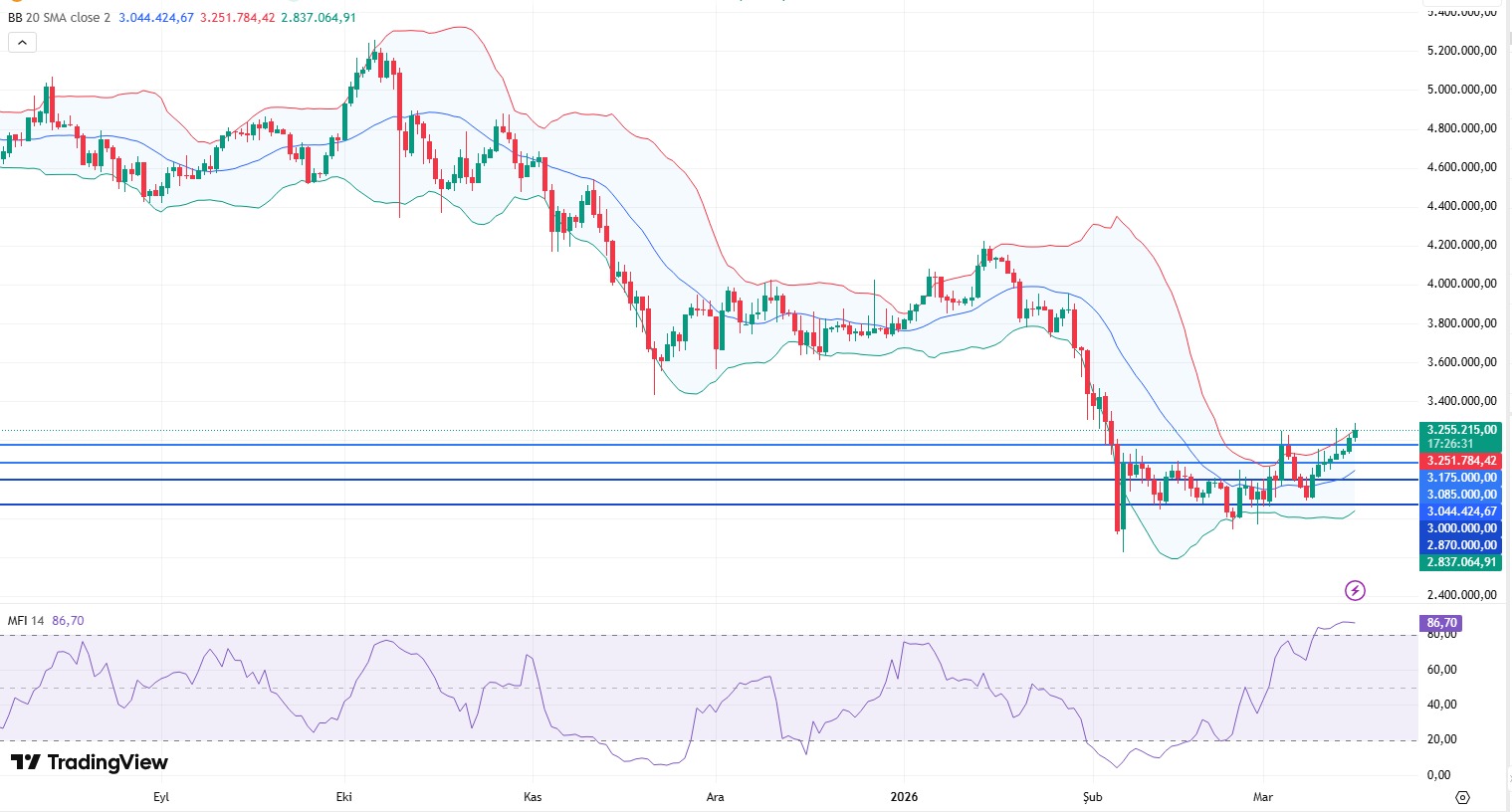 WhatsApp Image 2026-03-16 at 09.33.47.jpeg