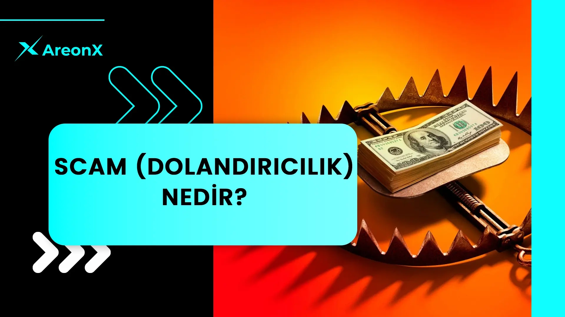 Scam (Dolandırıcılık) Nedir?