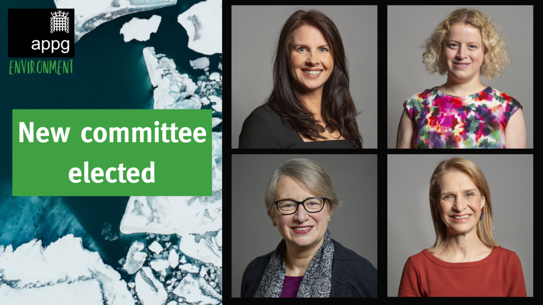 new committee