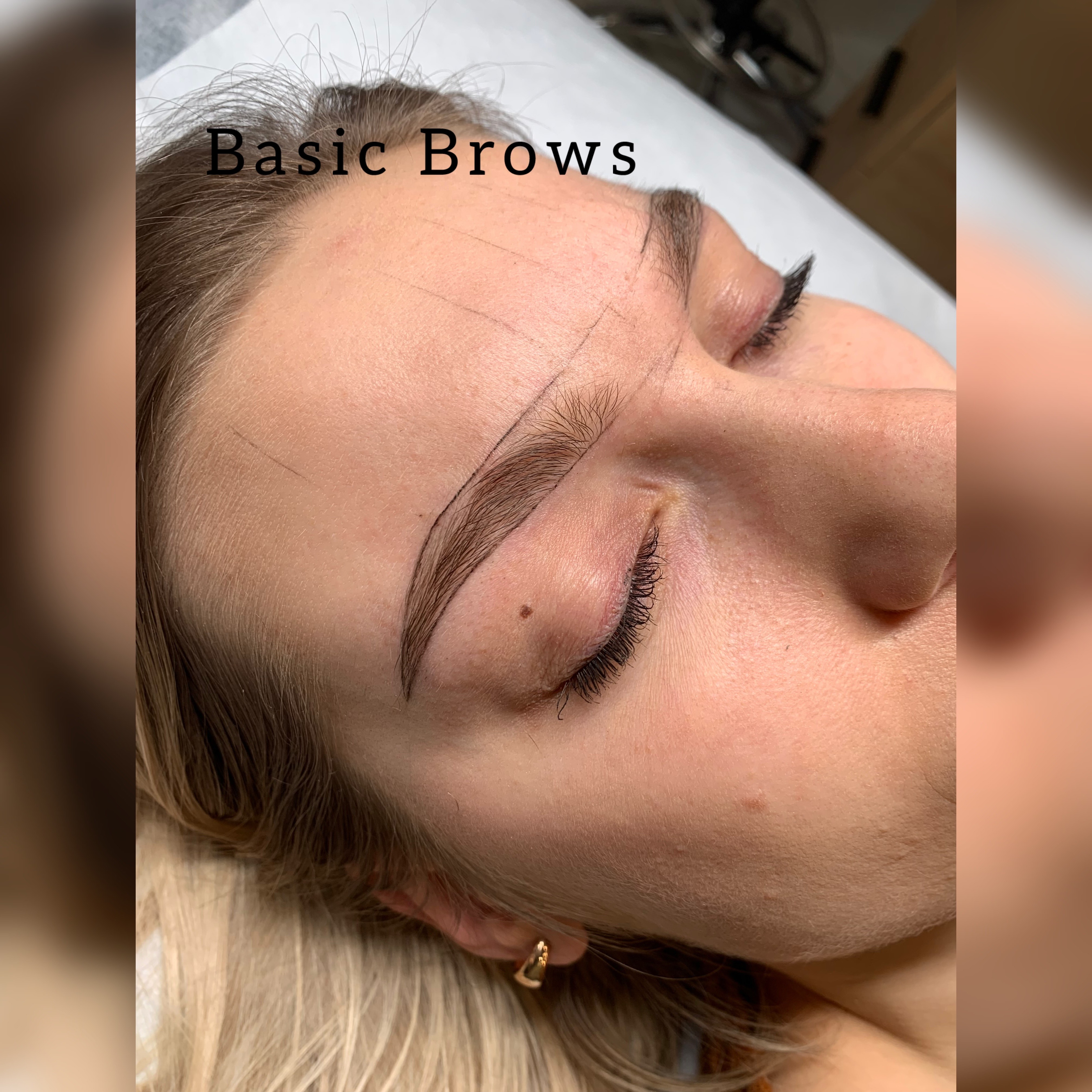 Grafika kursu Basic Brows makijaż brwi - 5-dniowe szkolenie z makijażu permanentnego