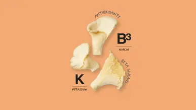 Oyster Mushrooms