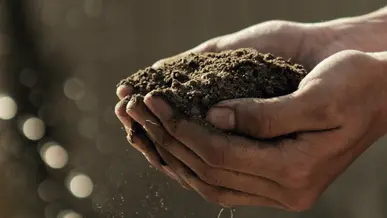 Sustainability Practices At Field Doctor
