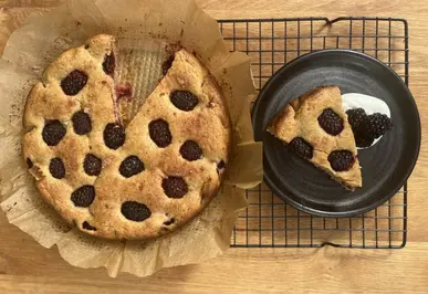 Olive Oil, Yoghurt, and Berry Cake