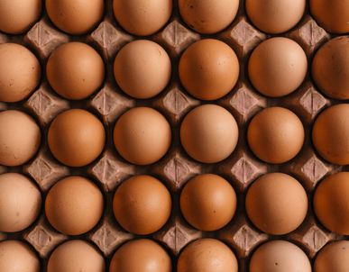 Protein - Your Questions Answered