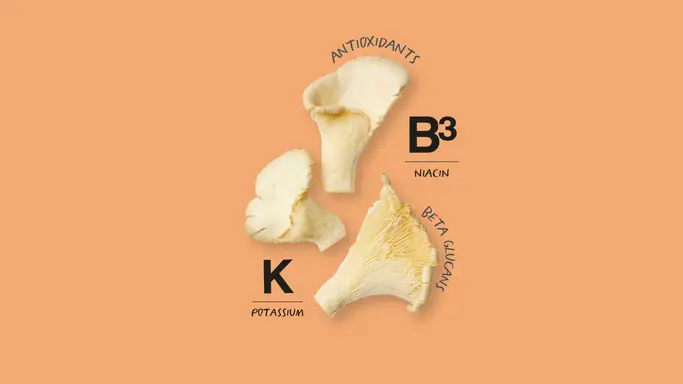 Oyster Mushrooms