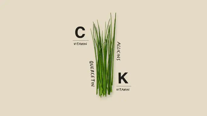 Chives