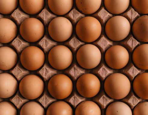 Protein - Your Questions Answered