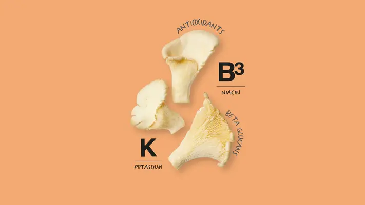 Oyster Mushrooms