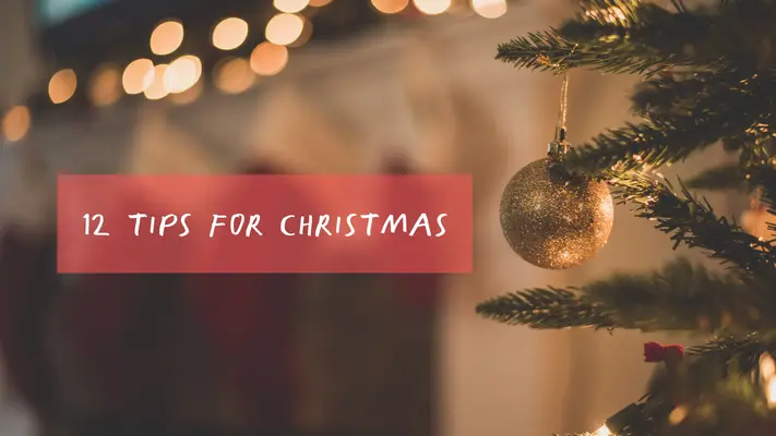 12 Tips For Eating For Gut Health At Christmas 