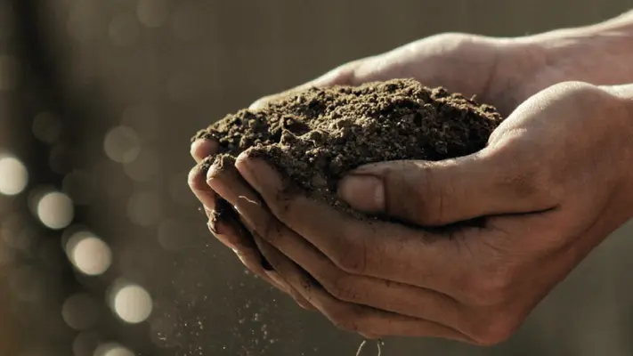 Sustainability Practices At Field Doctor