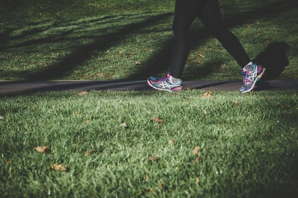 Chapter 1- The Importance of Physical Activity After a Cancer Diagnosis