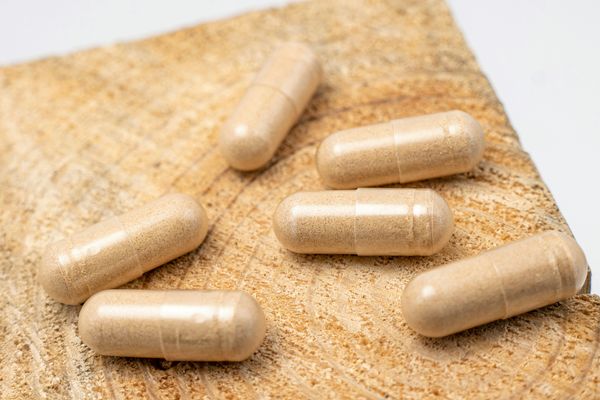 Chapter 4 Can supplements support your gut health? 