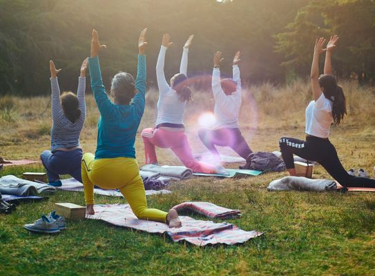 Chapter 2 - Gut health: How we can optimise it 