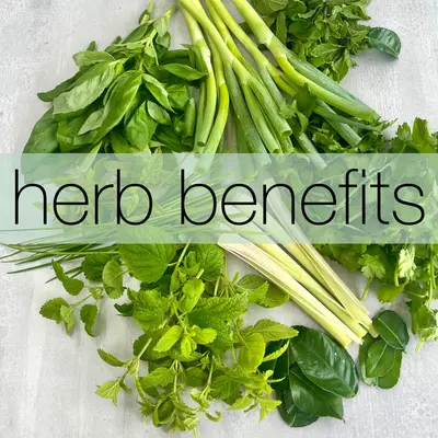 Herb Uses And Health Benefits