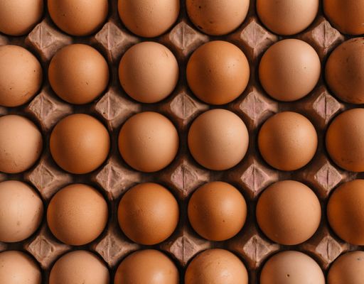 Protein - Your Questions Answered