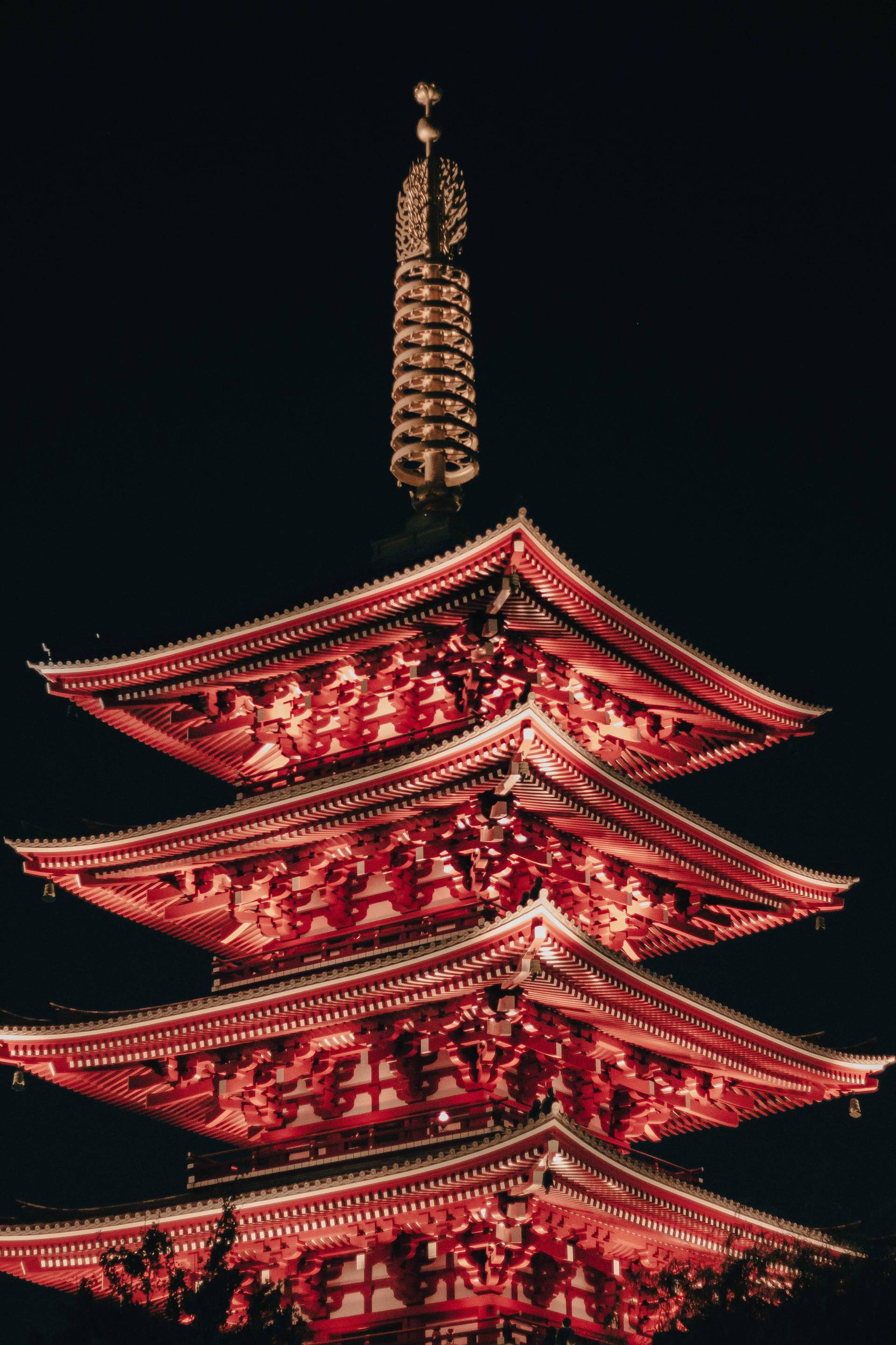 Japon | Entre tradition et modernité