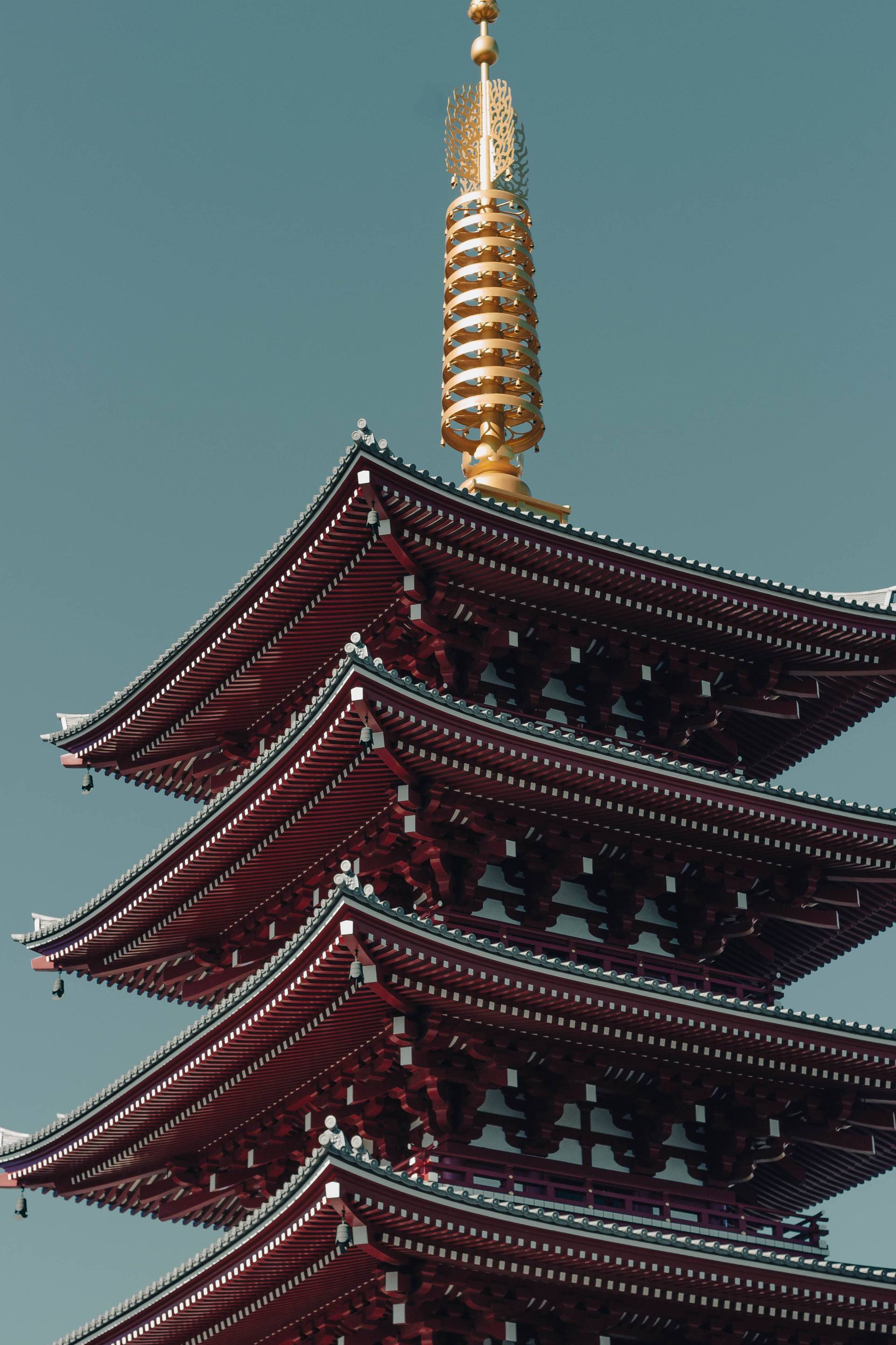 Japon | Entre tradition et modernité