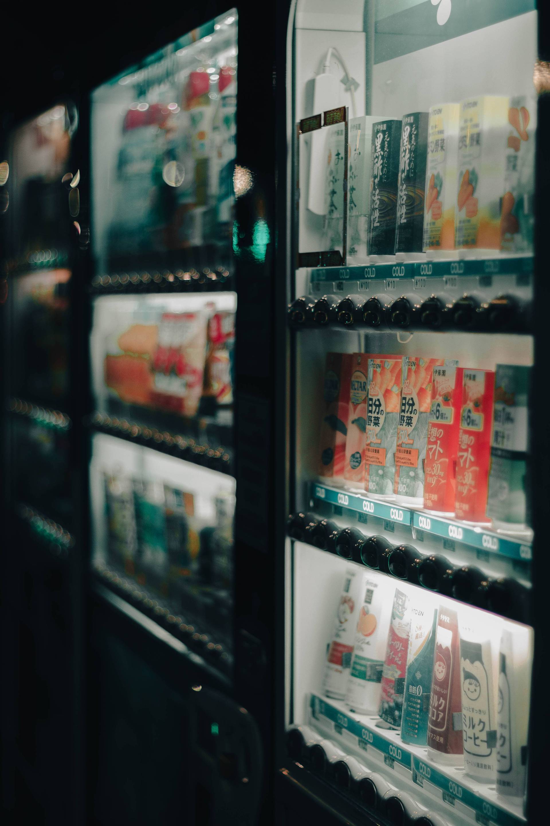 Japon | Entre tradition et modernité