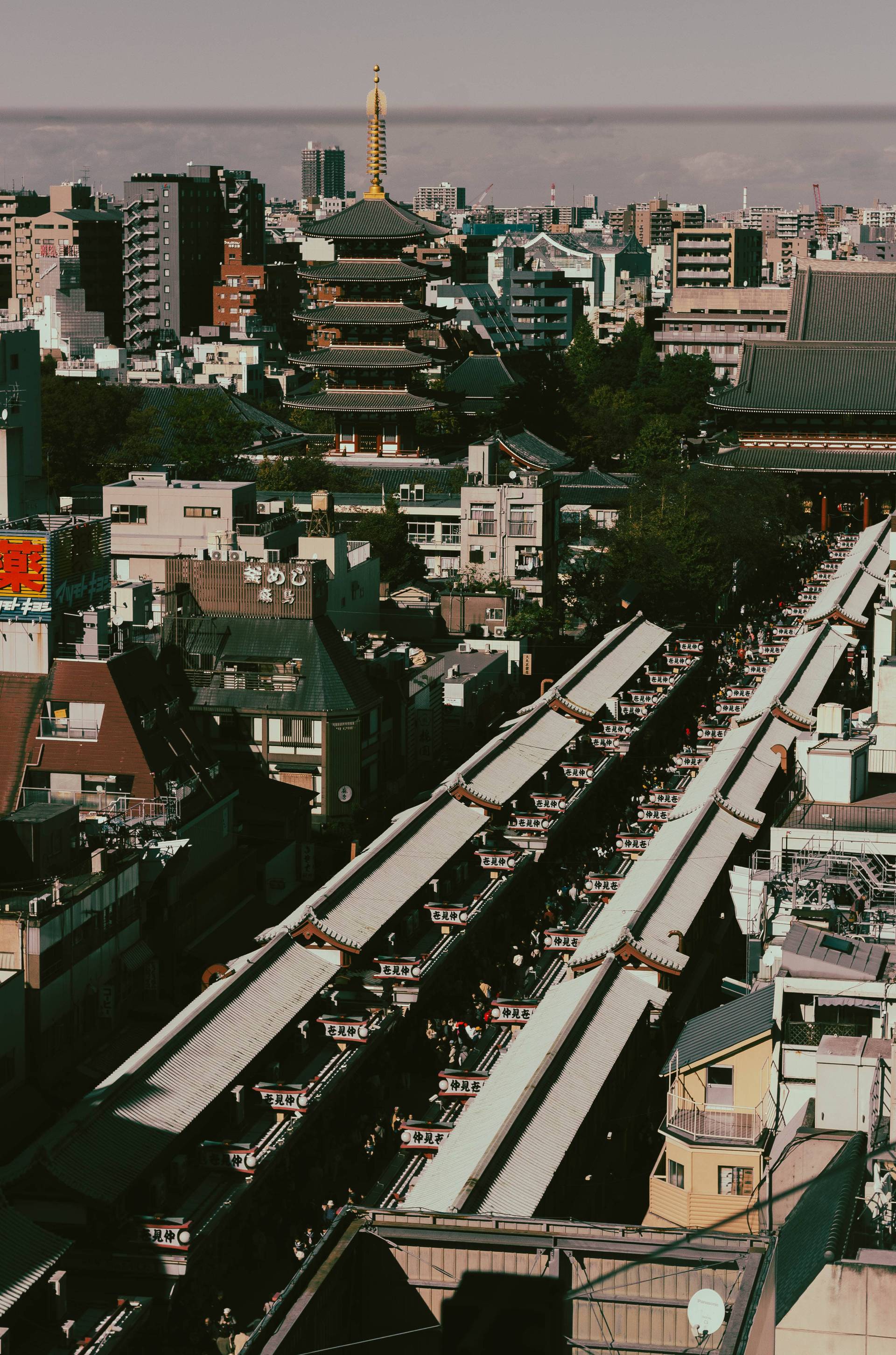 Japon | Entre tradition et modernité