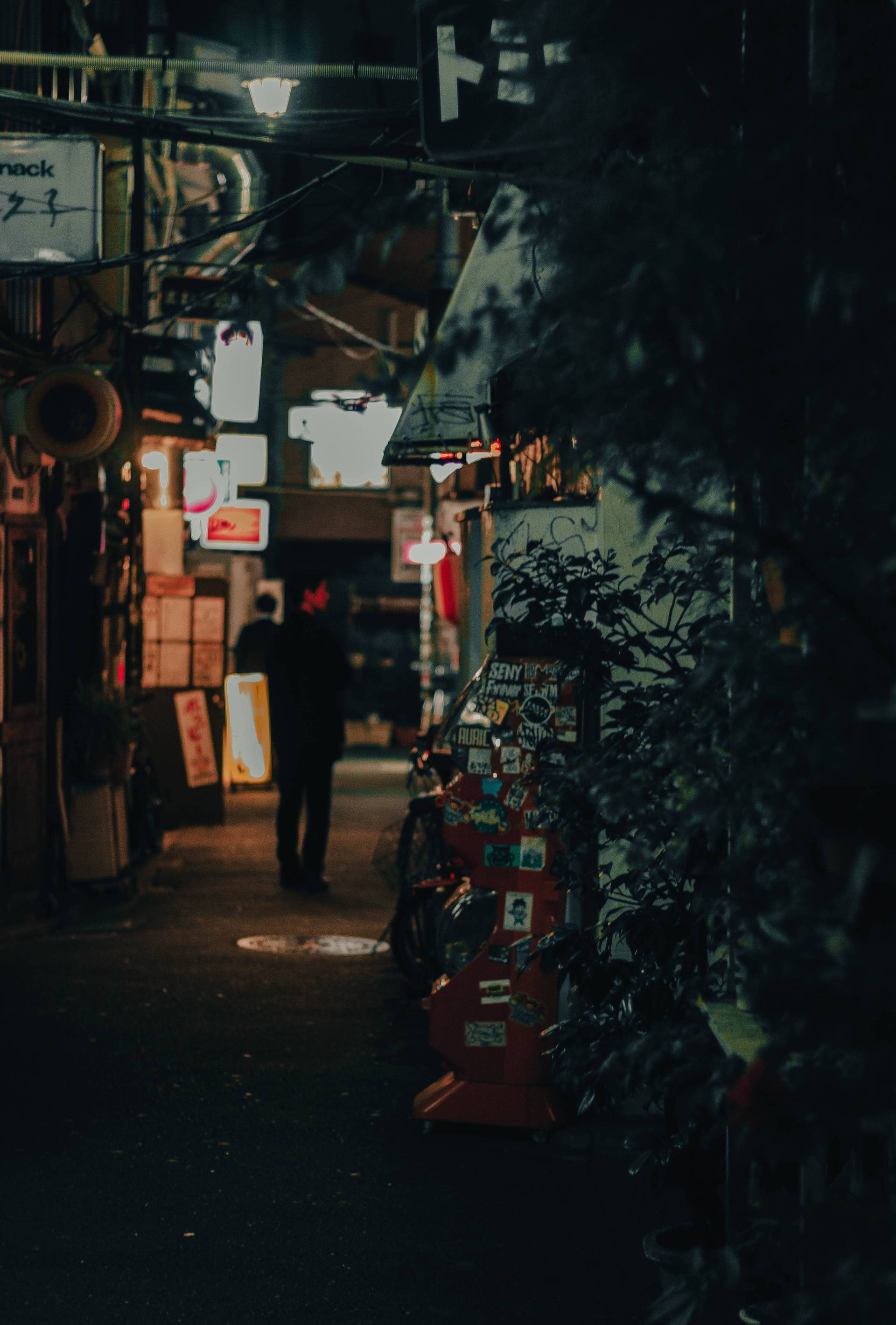 Japon | Entre tradition et modernité