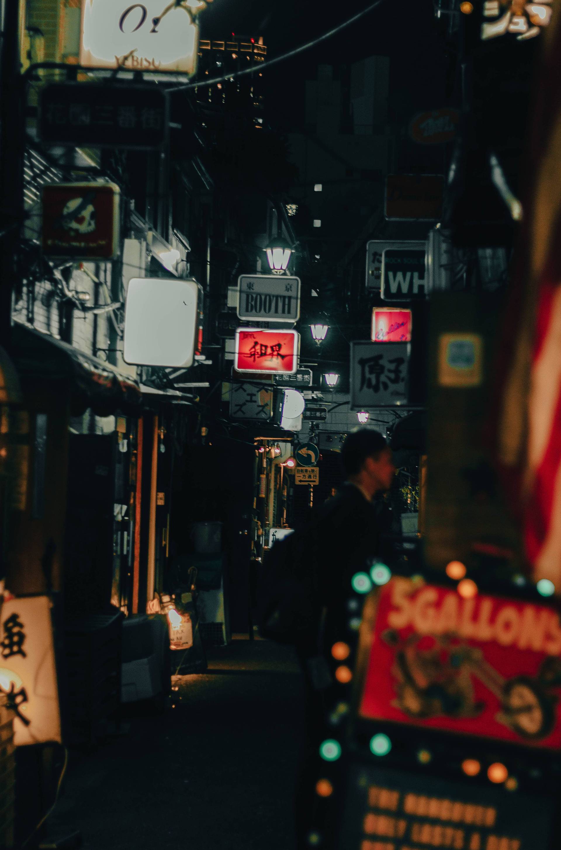 Japon | Entre tradition et modernité