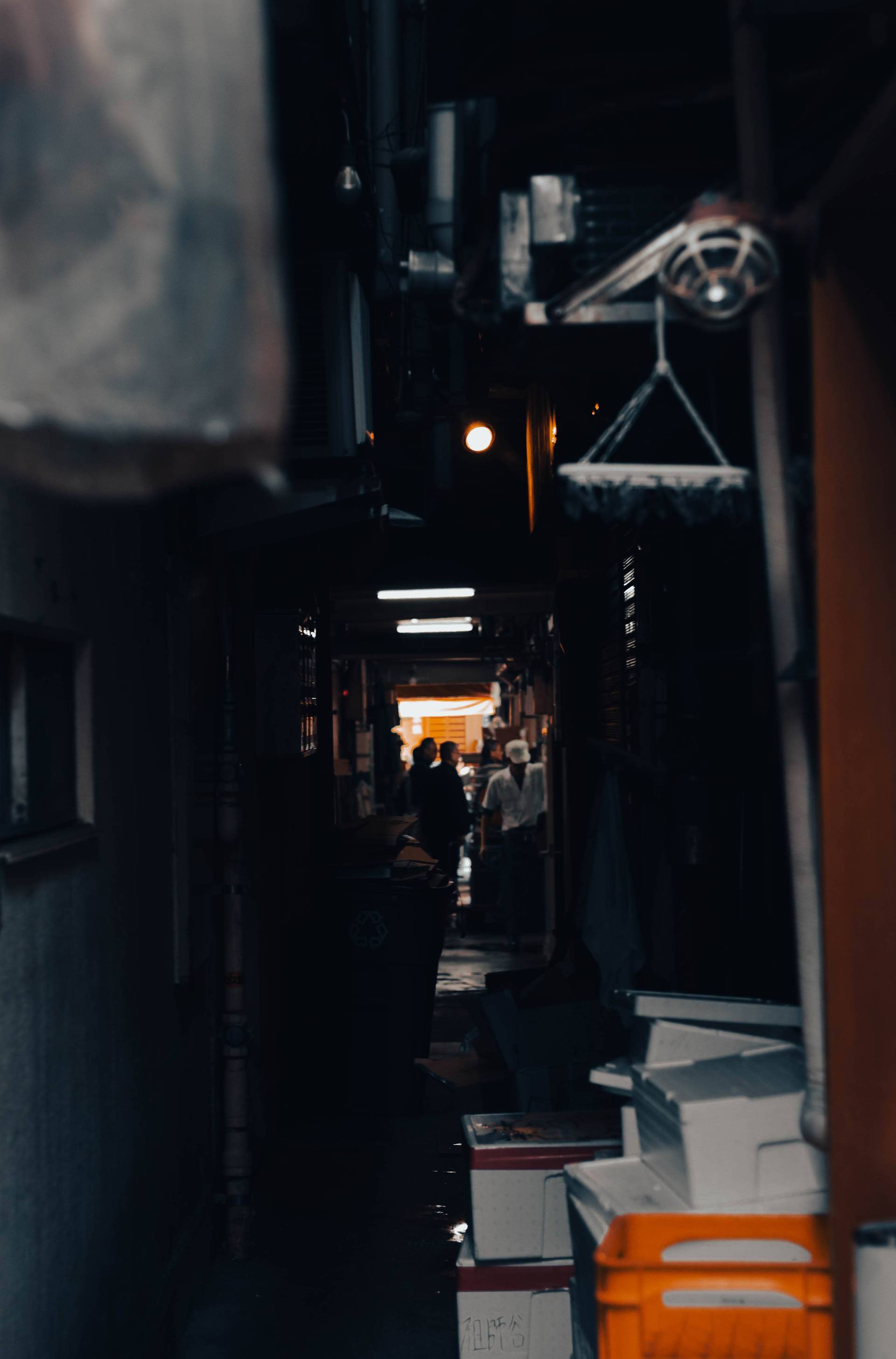 Japon | Entre tradition et modernité