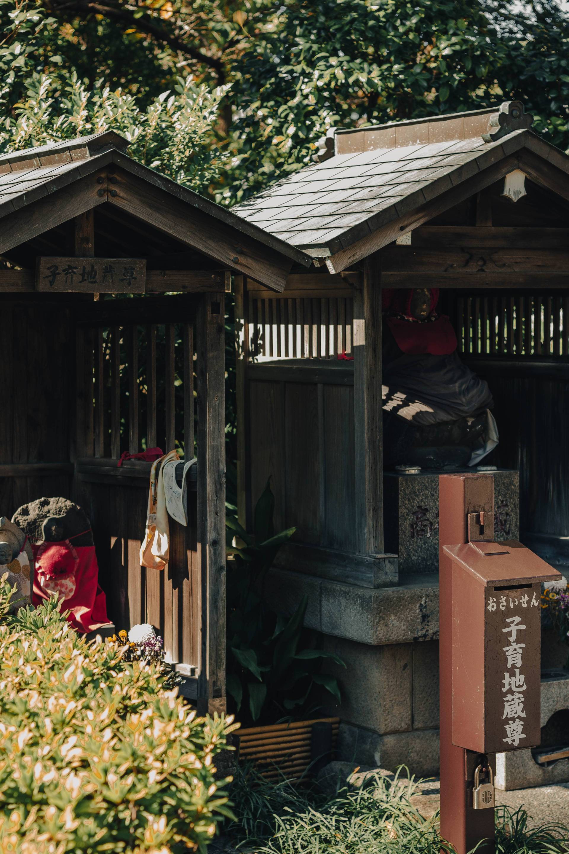 Japon | Entre tradition et modernité