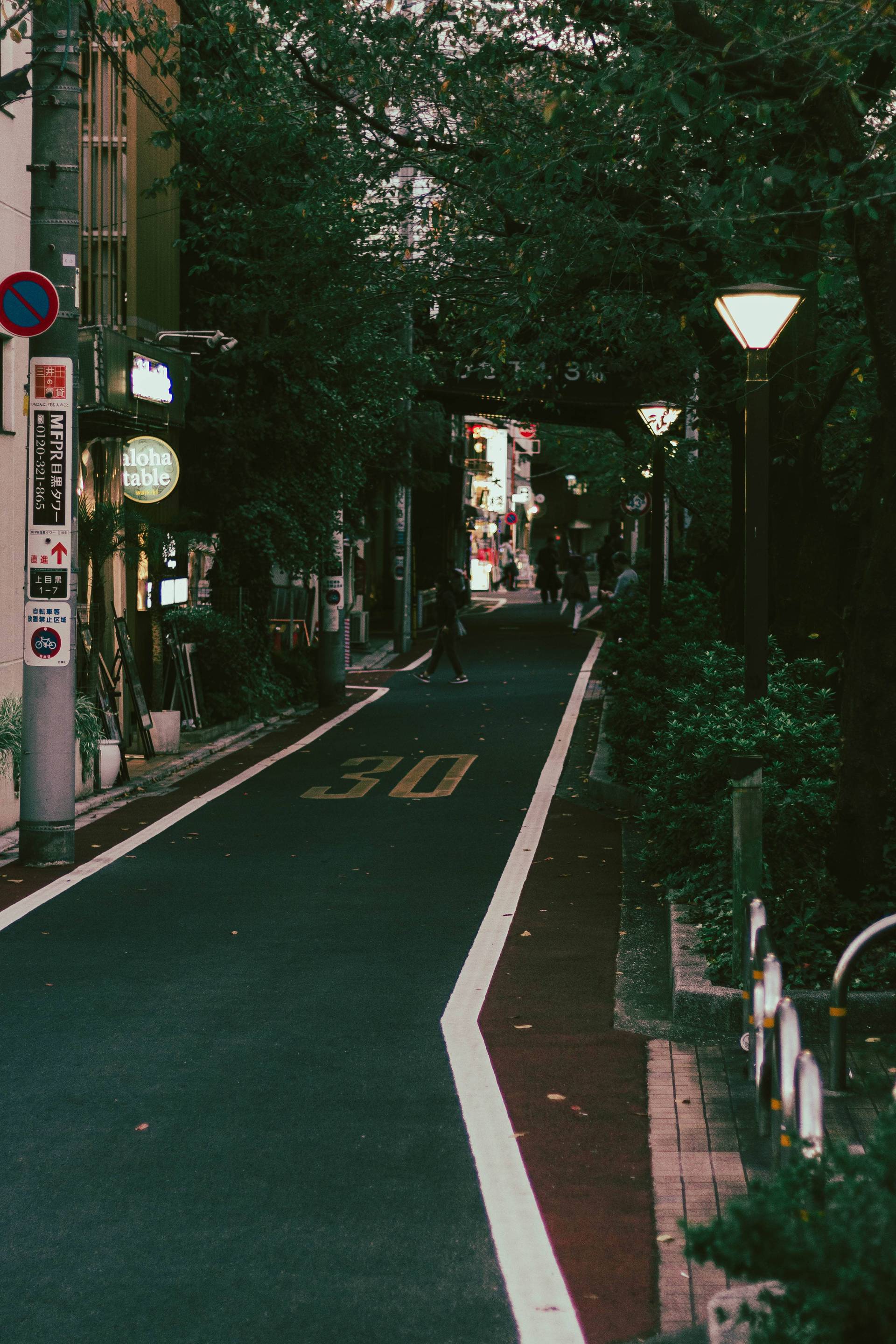 Japon | Entre tradition et modernité