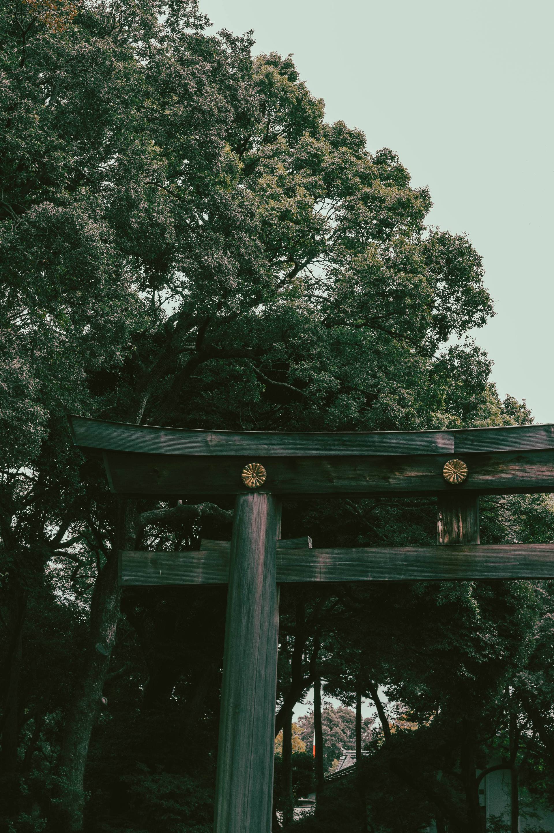 Japon | Entre tradition et modernité