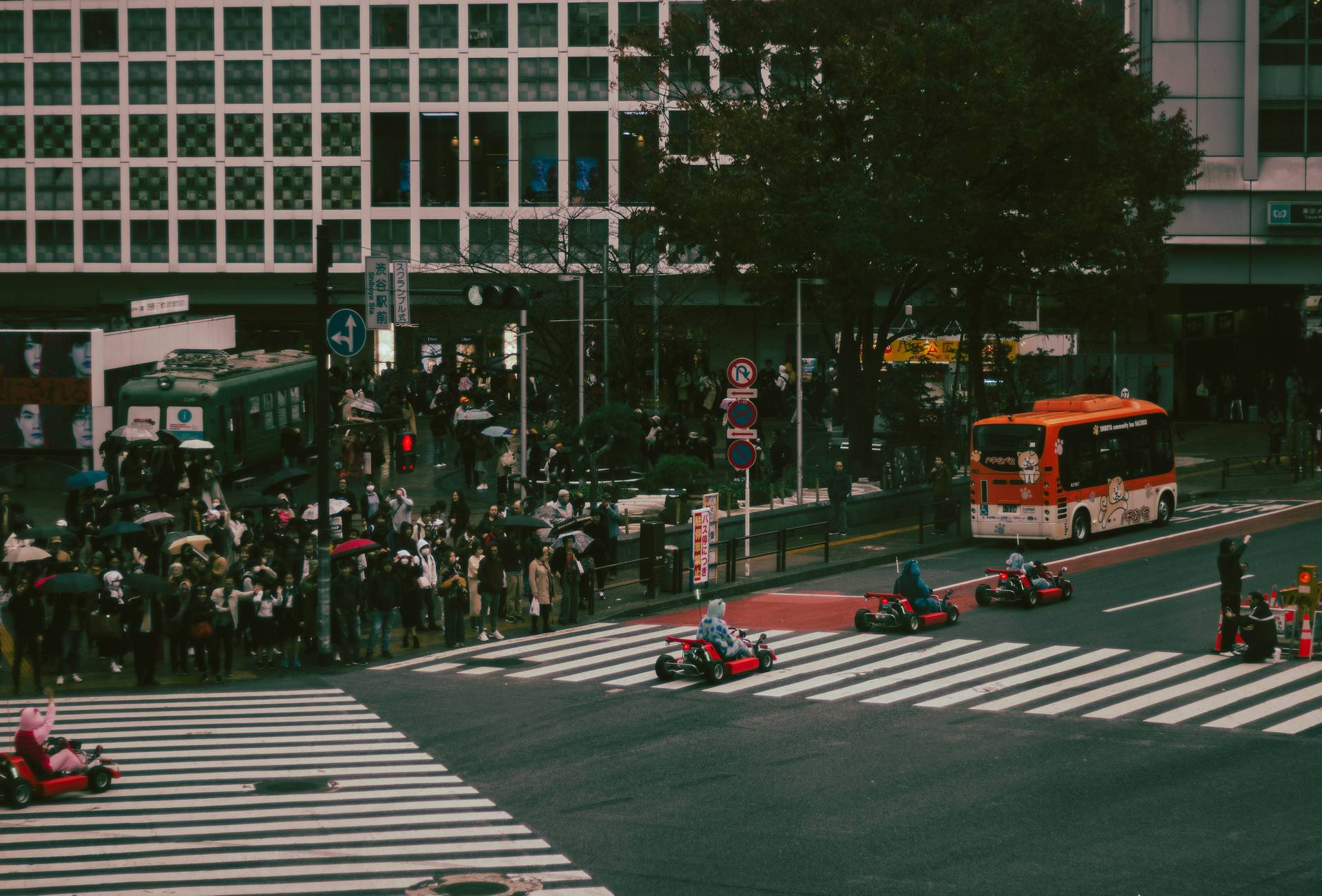 Japon | Entre tradition et modernité