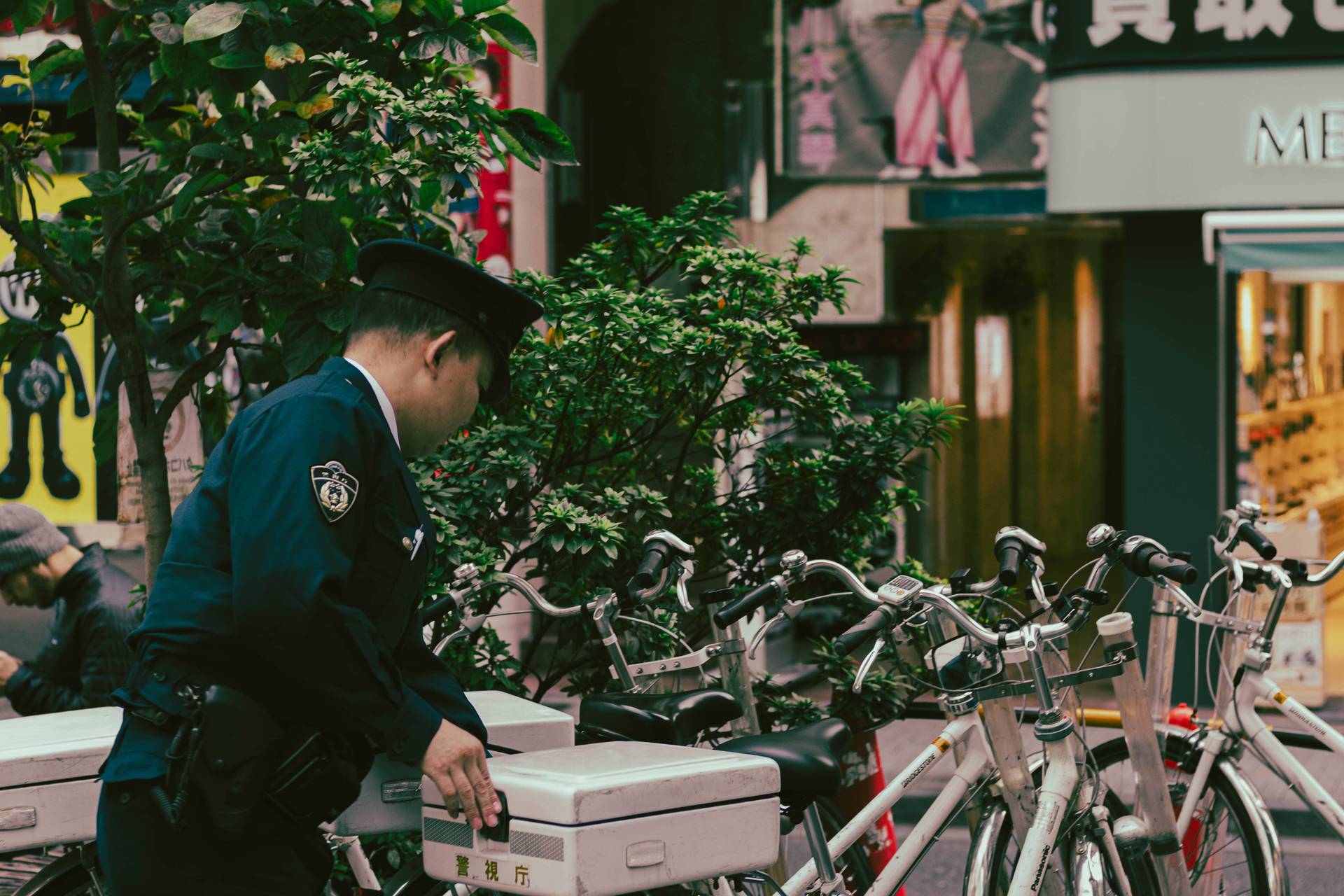 Japon | Entre tradition et modernité