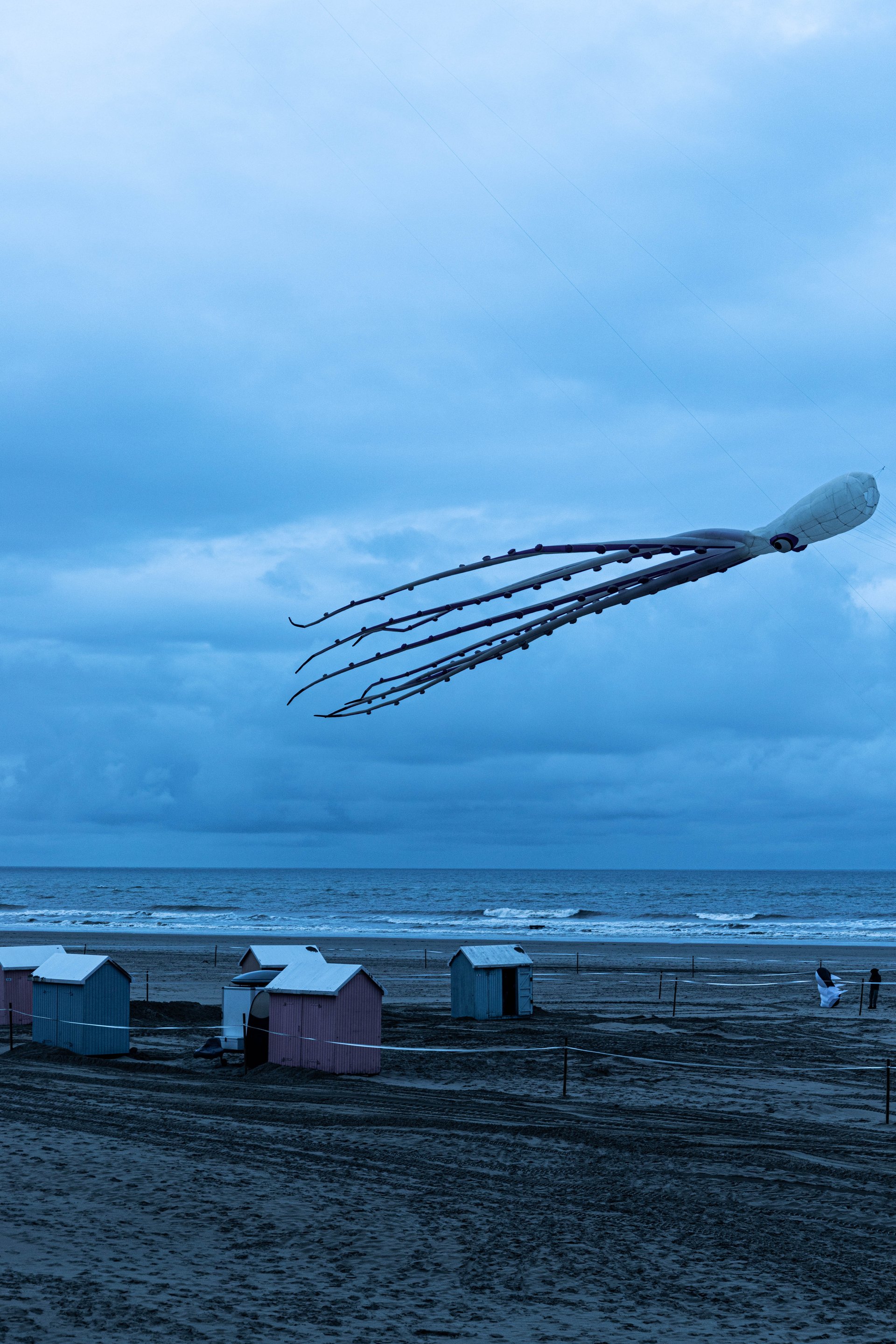 Évènement | Baraques de Berck