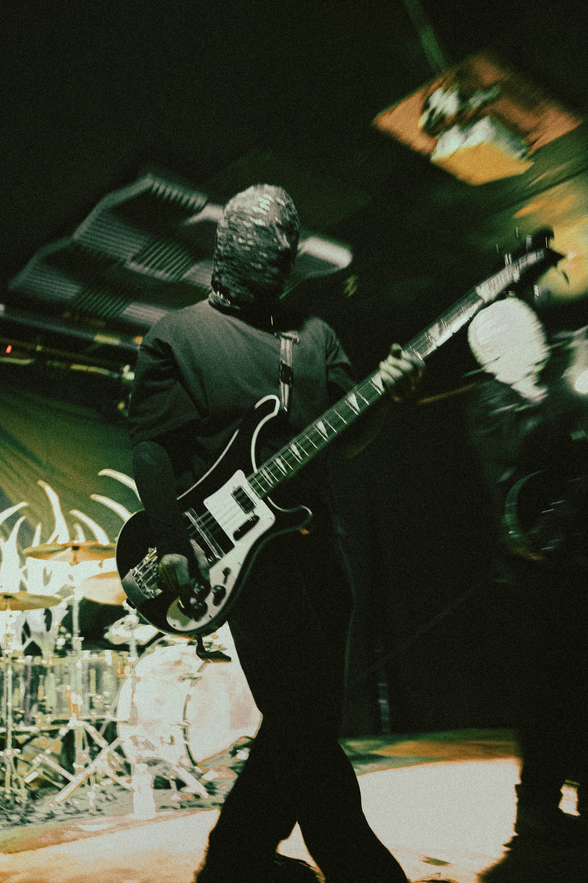 Concert | Bassiste, Sunborn