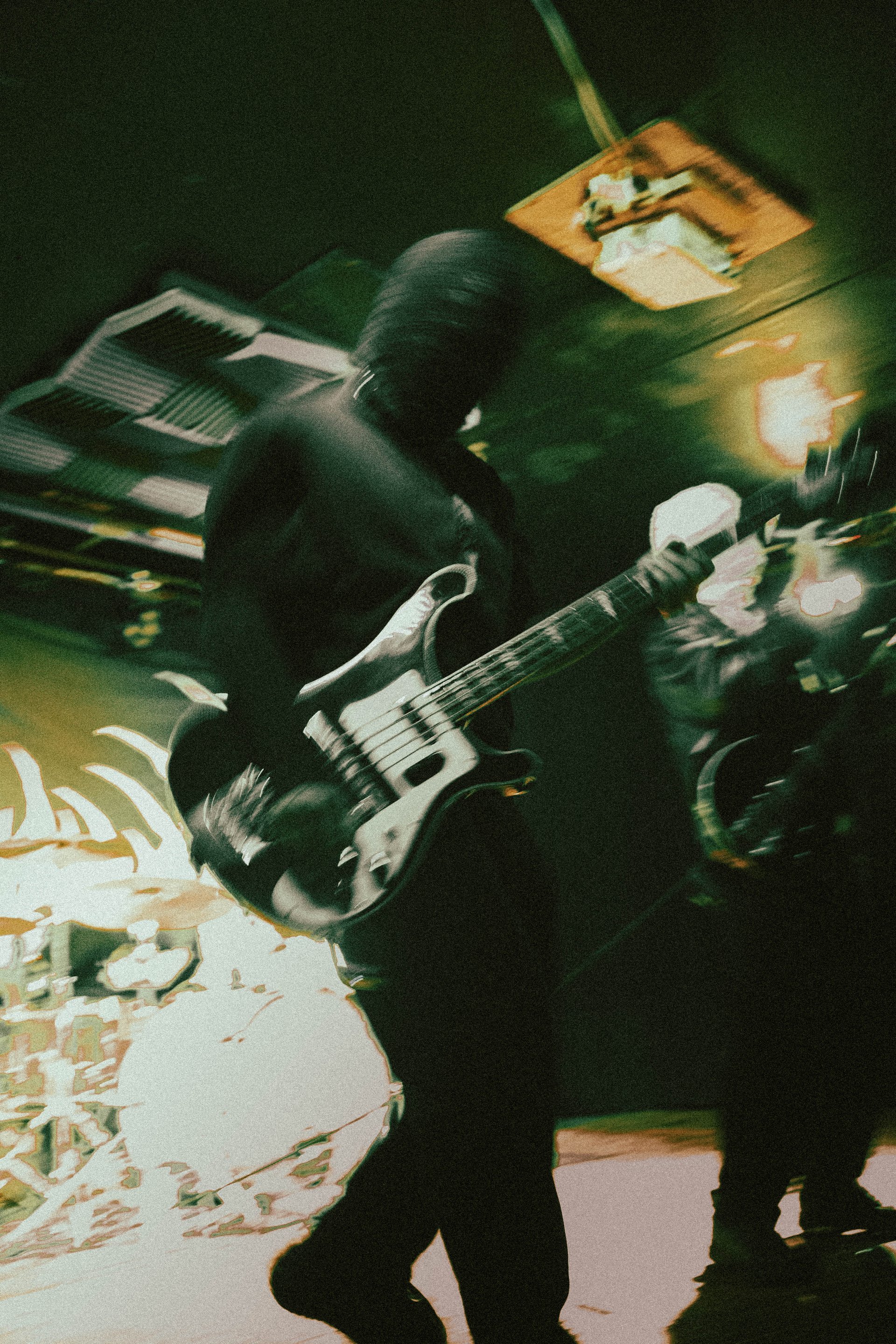 Concert | Bassiste, Sunborn